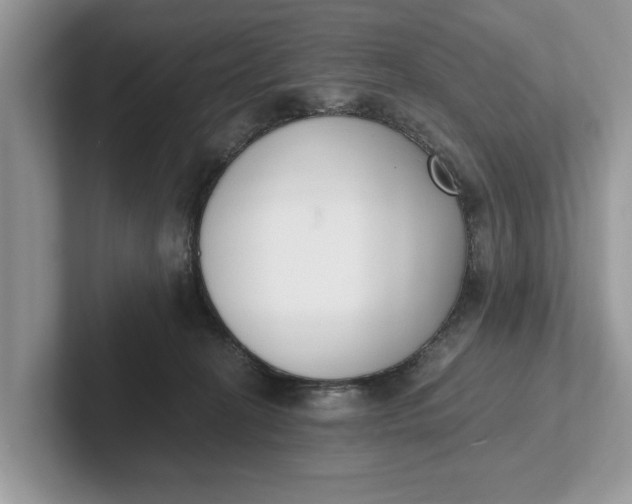 X0000101460274200807211339