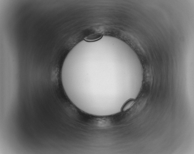 X0000101460275200807211339