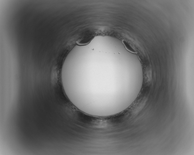 X0000101460276200807211339