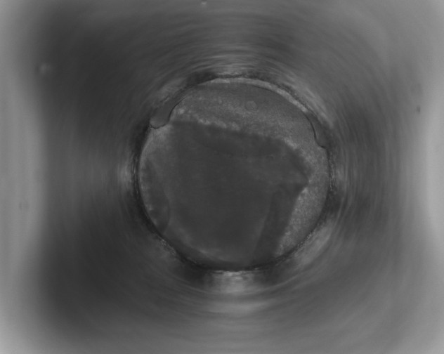 X0000101460277200807211339