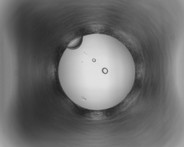 X0000101460279200807211339