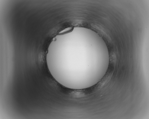 X0000101460280200807211339