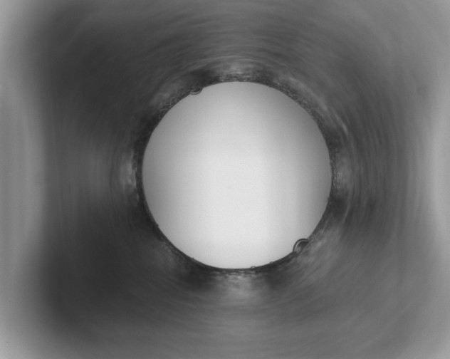 X0000101460282200807211339