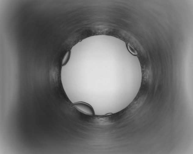 X0000101460283200807211339