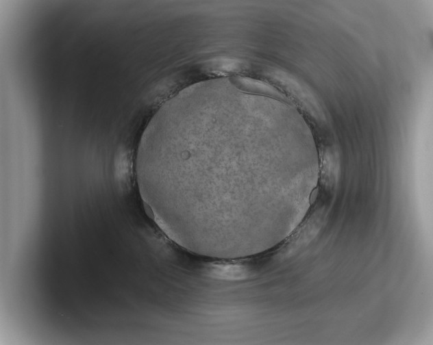 X0000101460284200807211339