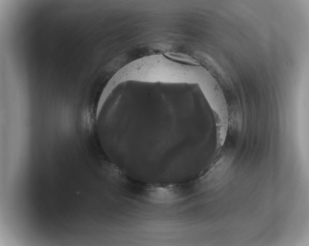 X0000101460285200807211339