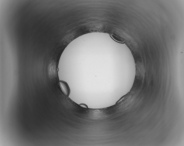 X0000101460287200807211340