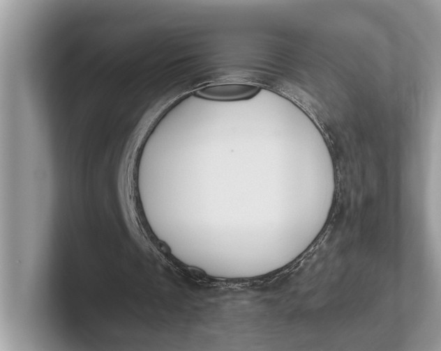 X0000101460289200807211339