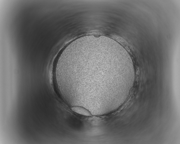 X0000101460290200807211339