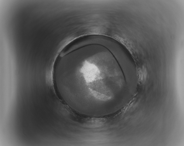 X0000101460292200807211339