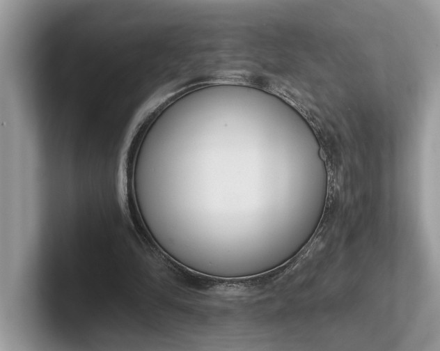 X0000101460294200807211339