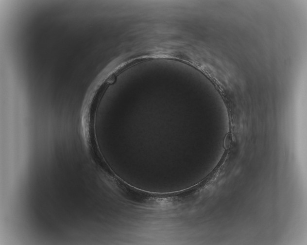 X0000101460295200807211339