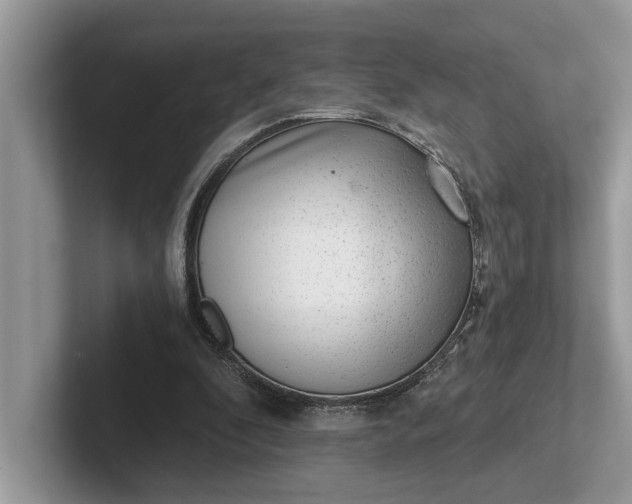 X0000101460296200807211339