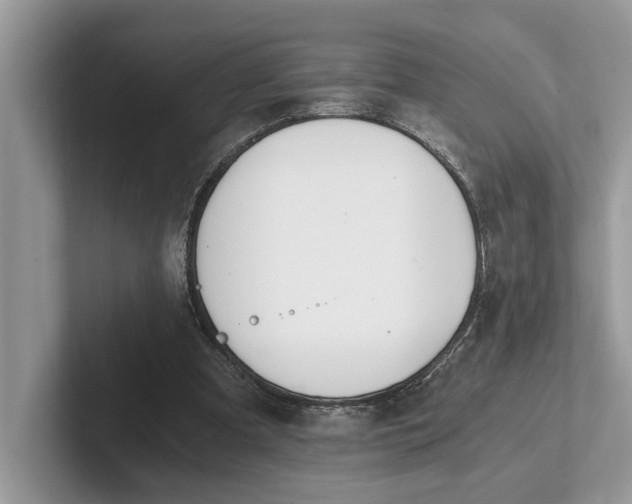 X0000101460297200807211339