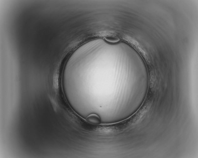 X0000101460299200807211339