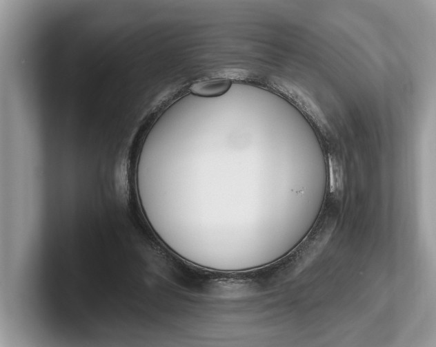 X0000101460300200807211339