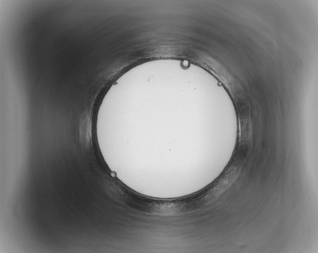 X0000101460301200807211339