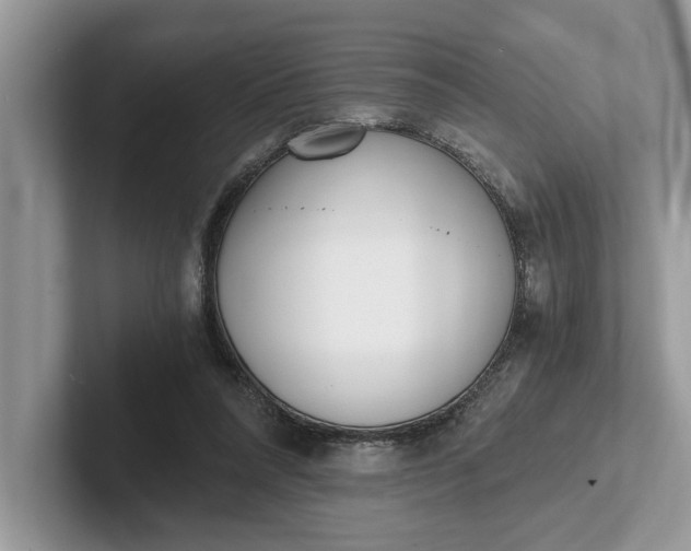 X0000101460304200807211339