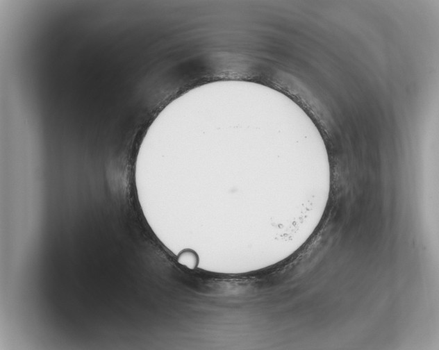 X0000101460305200807211339