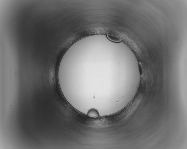 X0000101460306200807211339