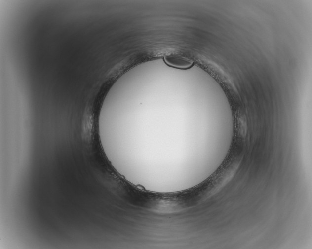 X0000101460308200807211339