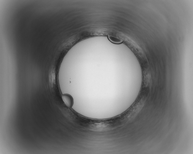 X0000101460310200807211339