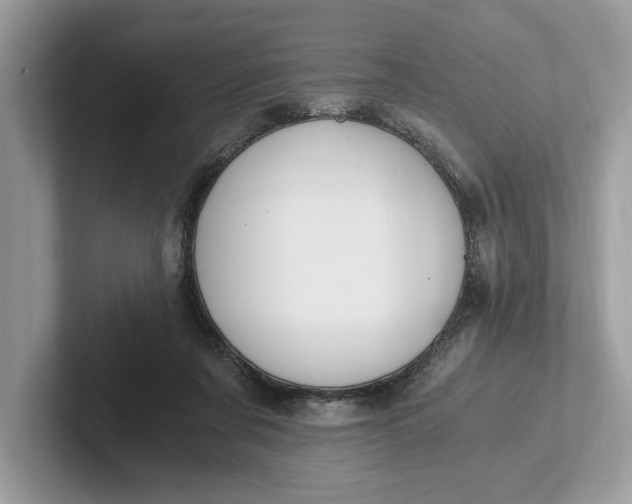 X0000101460311200807211339