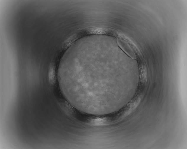 X0000101460312200807211339