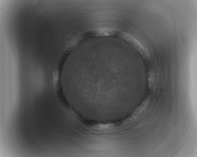 X0000101460314200807211339