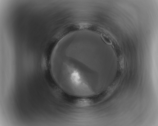 X0000101460316200807211339