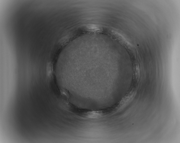 X0000101460320200807211338