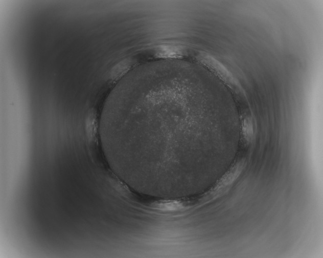 X0000101460322200807211338