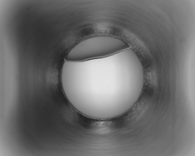 X0000101460323200807211338