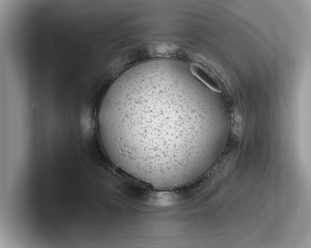 X0000101460324200807211338