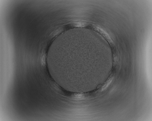 X0000101460325200807211338