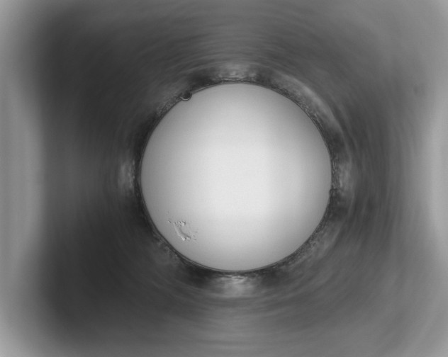 X0000101460326200807211338