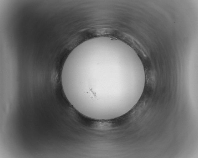 X0000101460327200807211338