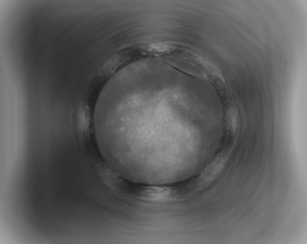 X0000101460328200807211338