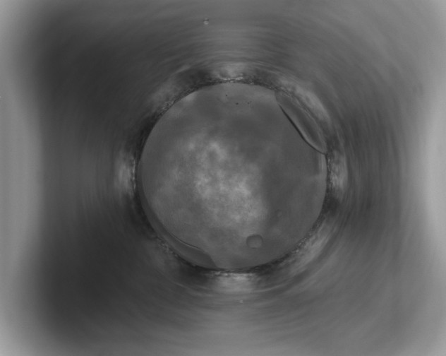 X0000101460332200807211338