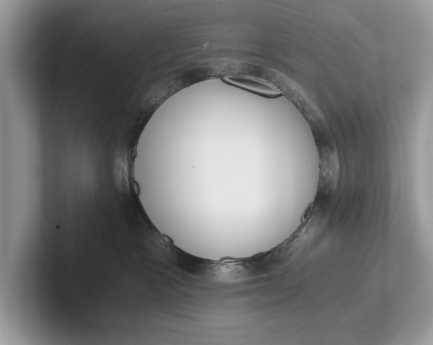 X0000101460333200807211338