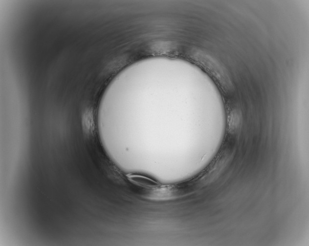 X0000101460335200807211338