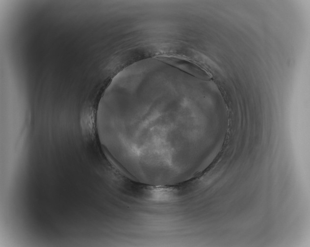 X0000101460336200807211338