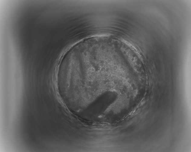 X0000101460337200807211338