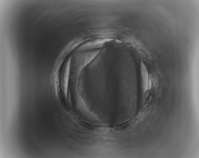 X0000101460339200807211338