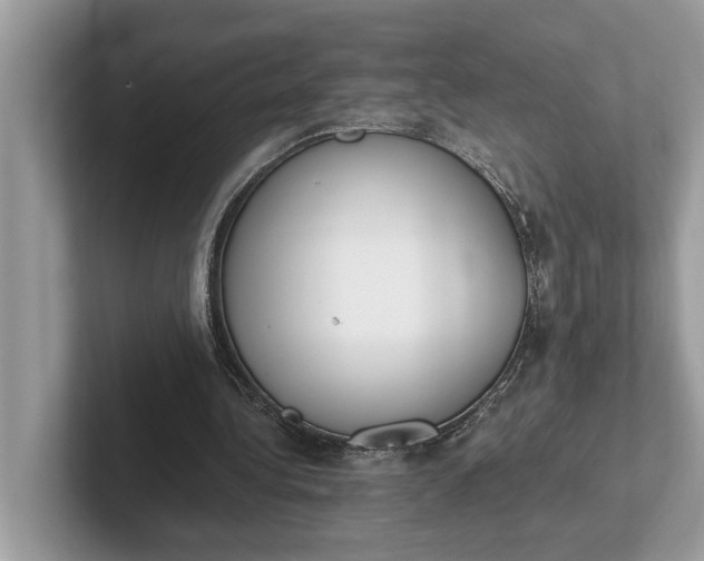 X0000101460340200807211338