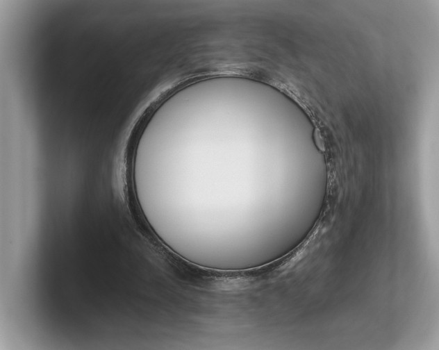 X0000101460342200807211338