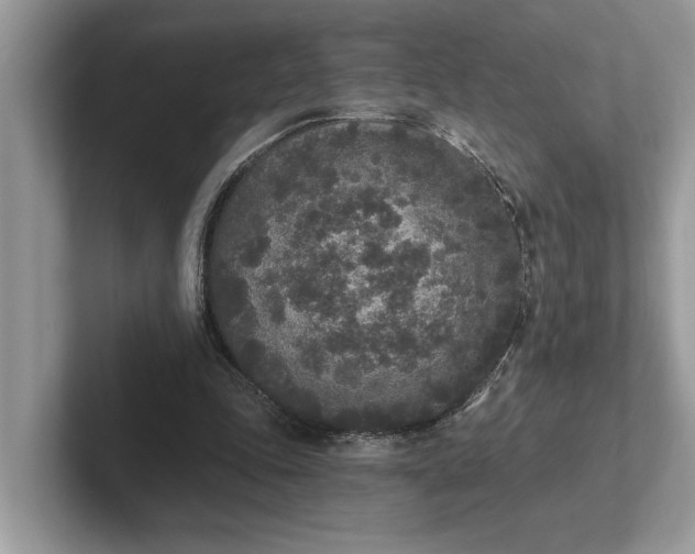 X0000101460343200807211338