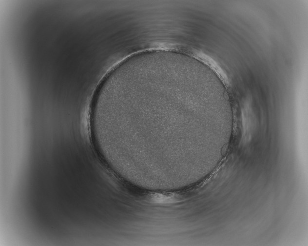 X0000101460346200807211338