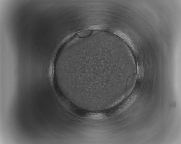 X0000101460348200807211338