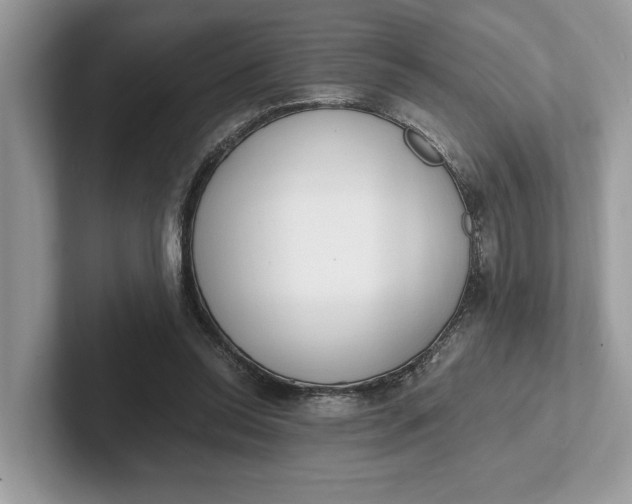 X0000101460350200807211338